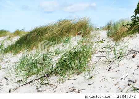 beach on the Baltic Sea 23847378