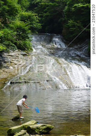Summer vacation / Awamata Waterfall, Yoro Valley (Ichihara City, Chiba Prefecture) 23847510