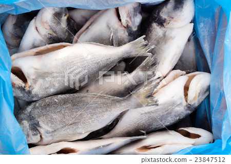 frozen fish 23847512
