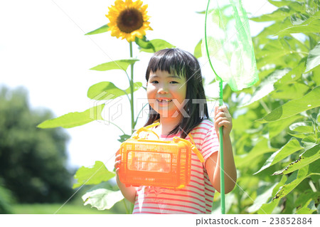站立在向日葵領域的女孩 23852884