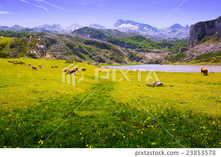Summer mountains landscape with lake Summer mountains landscape with lake 23853578