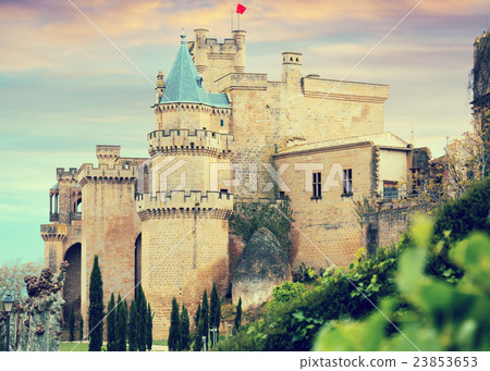 medieval castle medieval castle 23853653