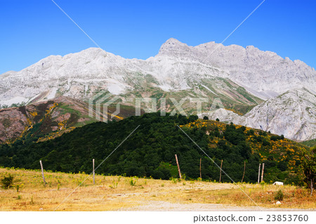 mountain landscape with rocks in summer mountain landscape with rocks in summer 23853760