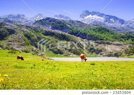 mountains landscape with lake and pasture mountains landscape with lake and pasture 23853804