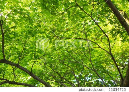 Many green green materials Many green green materials 23854723