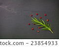Rosemary and pepper Rosemary and pepper 23854933