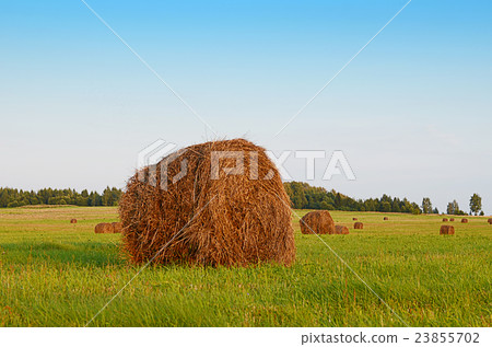 Haystack against the sky. Haymaking time. 23855702