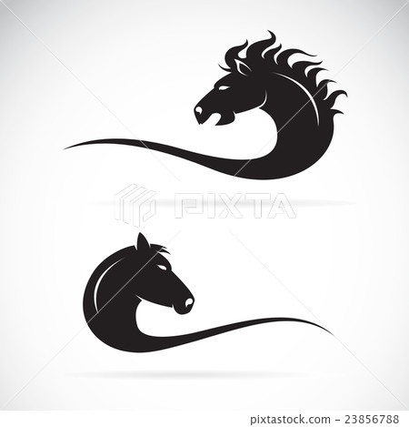 Vector of horse head design on a white background. - Stock Illustration ...