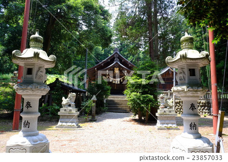 Yota神社 23857033