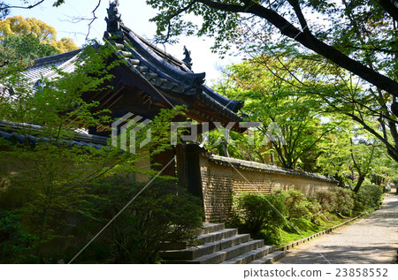Tsukiji Temples Tsukiji fence inside the temple (2016.4) 23858552