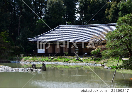 Joruri Temple（2016.4） 23860247