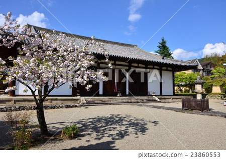 新藥師院大禮堂(2016.4) 新藥師院大禮堂(2016.4) 23860553