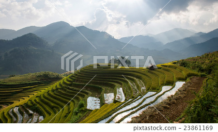 Rice fields on terrace in rainy season  23861169