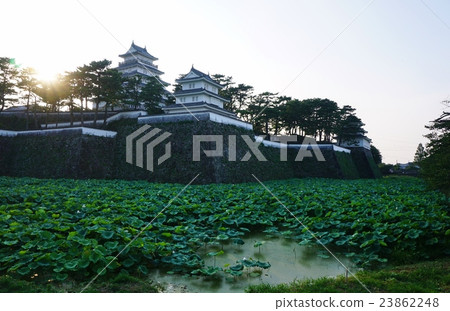 Shimabara Castle 23862248