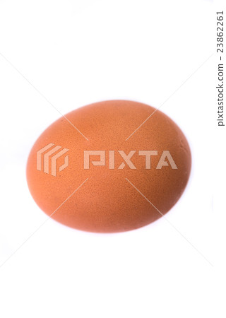 Fresh chicken egg 23862261