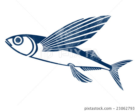 Flying flying fish Illustration 23862793