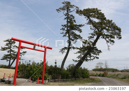 Yaegaki Shrine 23863197