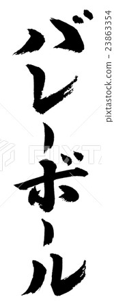 排球比賽 23863354