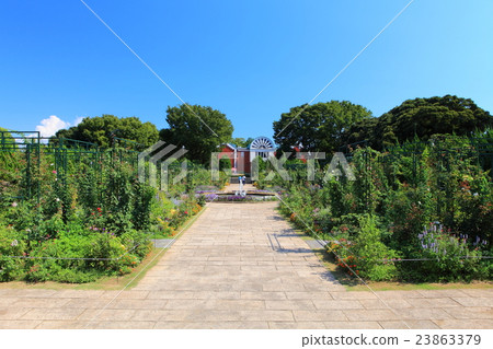 一個山頂公園,可以看到港口的花壇 一個山頂公園,可以看到港口的花壇 23863379