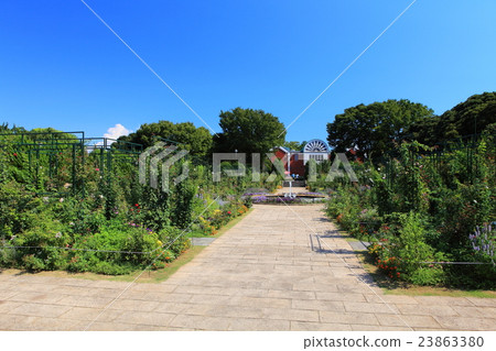 一個山頂公園,可以看到港口的花壇 一個山頂公園,可以看到港口的花壇 23863380