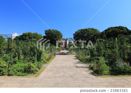 一個山頂公園,可以看到港口的花壇 一個山頂公園,可以看到港口的花壇 23863381