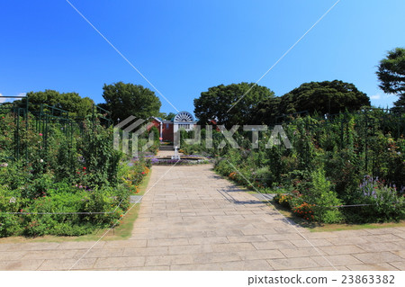 一個山頂公園,可以看到港口的花壇 一個山頂公園,可以看到港口的花壇 23863382