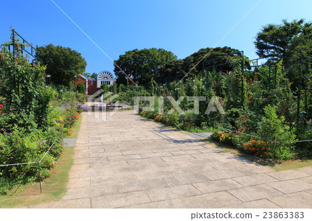 一個山頂公園,可以看到港口的花壇 一個山頂公園,可以看到港口的花壇 23863383