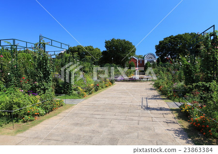 一個山頂公園,可以看到港口的花壇 一個山頂公園,可以看到港口的花壇 23863384