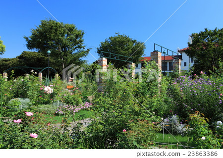 在港口,你可以看到山上公園英式玫瑰園 在港口,你可以看到山上公園英式玫瑰園 23863386