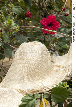 Special Display Of Straw Hats Special Display Of Straw Hats 23863644