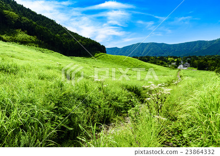 Hakone Sengaihara Prairie Hakone Sengaihara Prairie 23864332