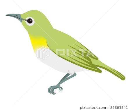 Me white white back left Me white white back left 23865241