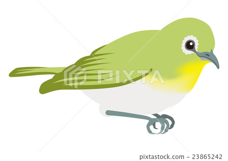 Mediro white back facing right 23865242