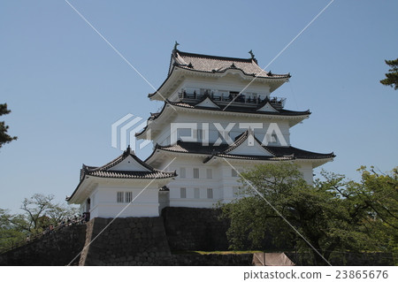 Odawara Castle 23865676