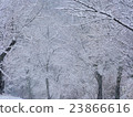 Snow park 23866616