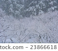Snow park 23866618