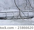 Snow park 23866620
