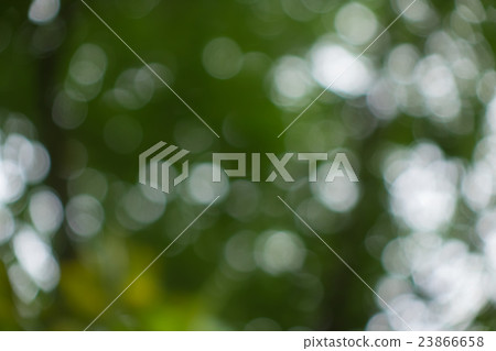 Bloom blur material Bloom blur material 23866658