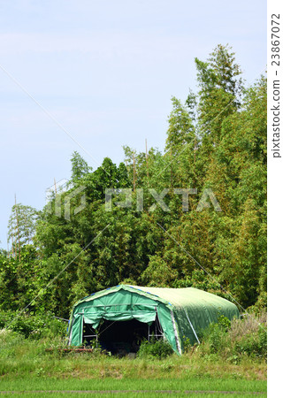Sheet house 23867072