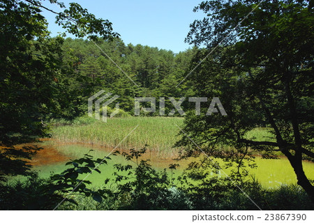 Goshikinuma (Fukushima) Midorizuma Goshikinuma (Fukushima) Midorizuma 23867390