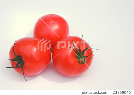 Midi tomato Midi tomato 23869040