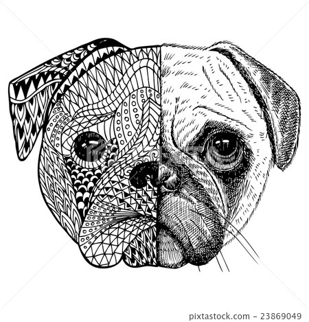 Hand drawn Pug head zentangle stylized - Stock Illustration [23869049 ...