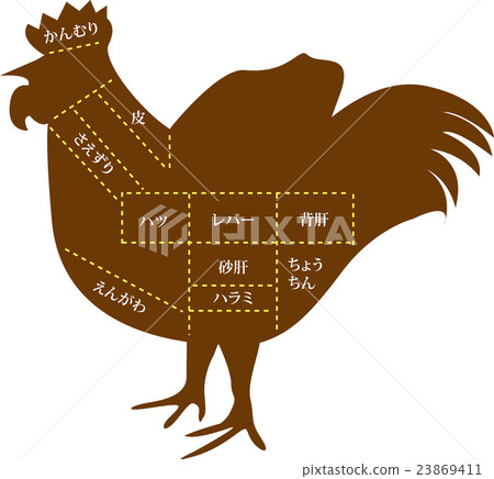 雞內臟的名稱 雞內臟的名稱 23869411