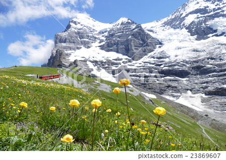 少女峰火車在艾格峰腳下運行 少女峰火車在艾格峰腳下運行 23869607