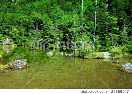 Mikei Pond Ninonoike 23869967