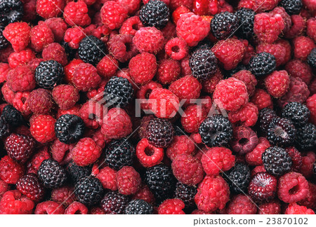 Raspberry and blackberry 23870102
