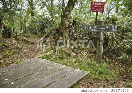 Tanzawa Mountains Morokubo Sawano Head Tanzawa Mountains Morokubo Sawano Head 23871102