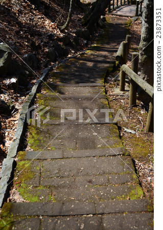 A stone stairway through sunlight through the sun 23873351