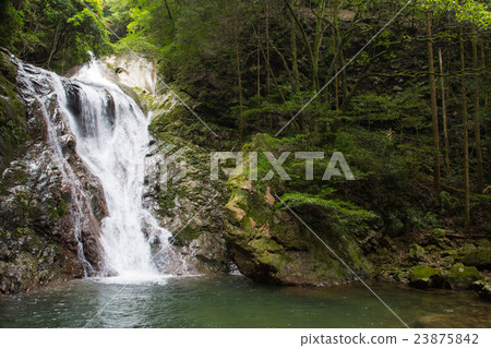 Ehime Prefecture Uwajima-shi Yakushi Valley Snowy Rain Falls 23875842