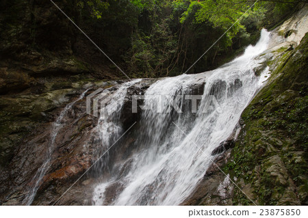 Ehime Prefecture Uwajima-shi Yakushi Valley Snowy Rain Falls Ehime Prefecture Uwajima-shi Yakushi Valley Snowy Rain Falls 23875850